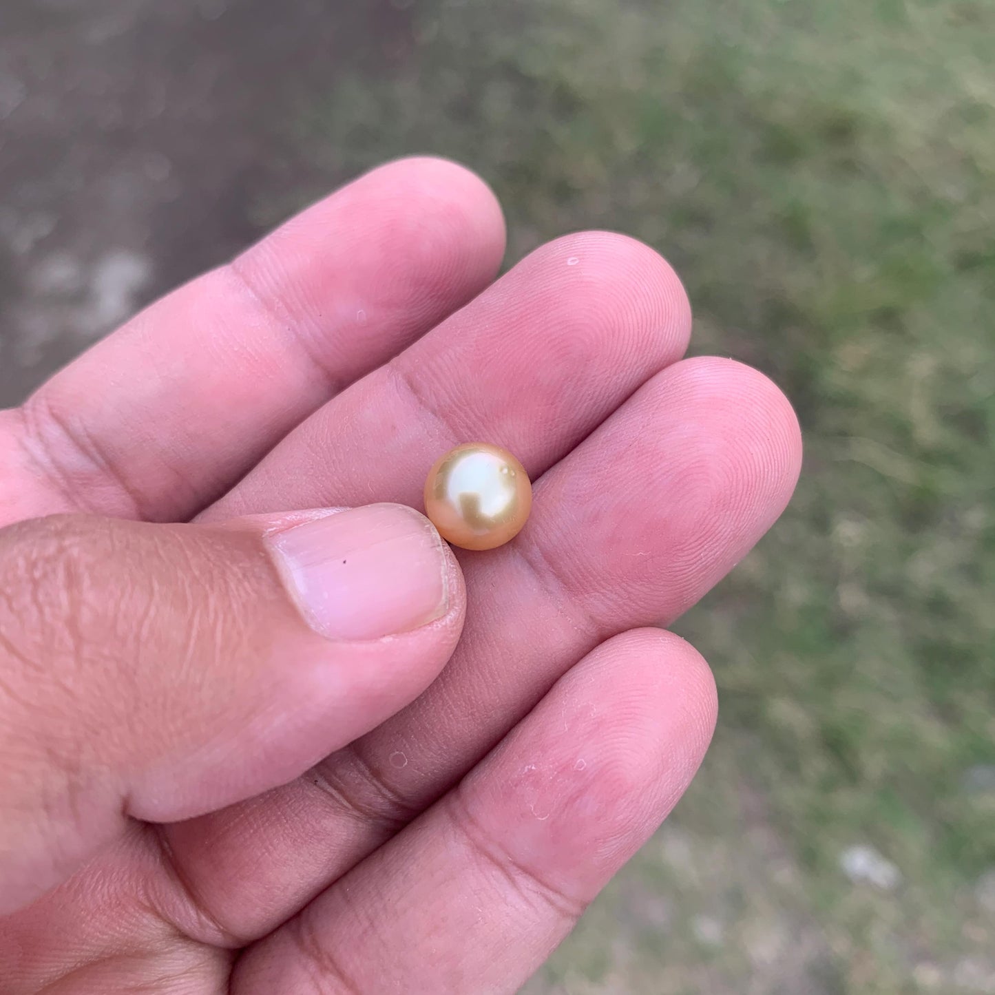 Loose Golden South Sea Pearl Beads Sea Pearl Beads High Grade Loose Saltwater Pearl Bead Small-3