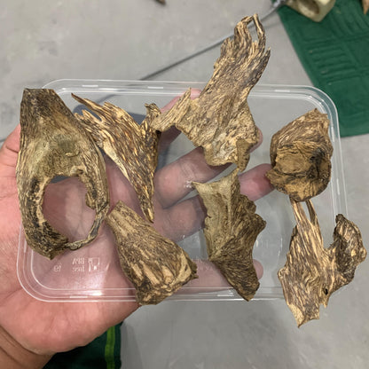 Agarwood Chips Chénxiāng Oud Incense Oudh Xiāng Kyara Kynam Aloeswood Kinam qí nán Jinkoh Englewood Grams  Solid Wood