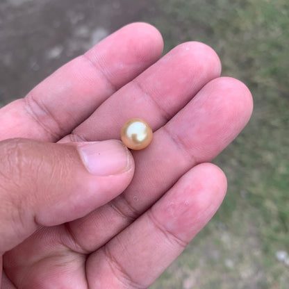 Loose Golden South Sea Pearl Beads Sea Pearl Beads High Grade Loose Saltwater Pearl Bead Small-3