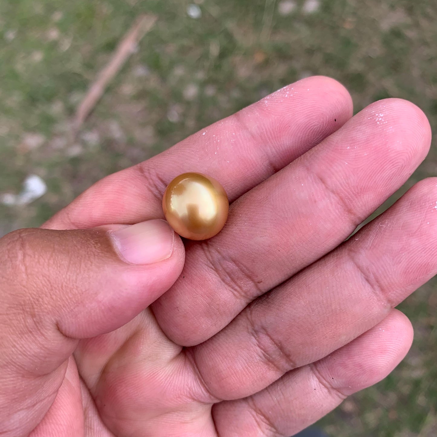 14mm Golden South Sea Button Pearl High Grade Loose Saltwater Pearl PP4-1