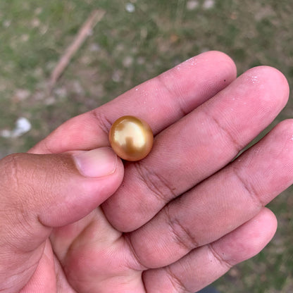 14mm Golden South Sea Button Pearl High Grade Loose Saltwater Pearl PP4-1