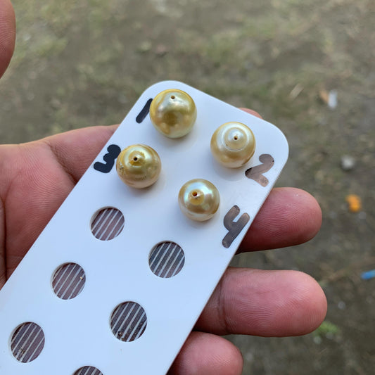 11.5-14.5mm Loose Indonesia White Sea Pearl White South Sea Pearl Half drill BoZorX LG