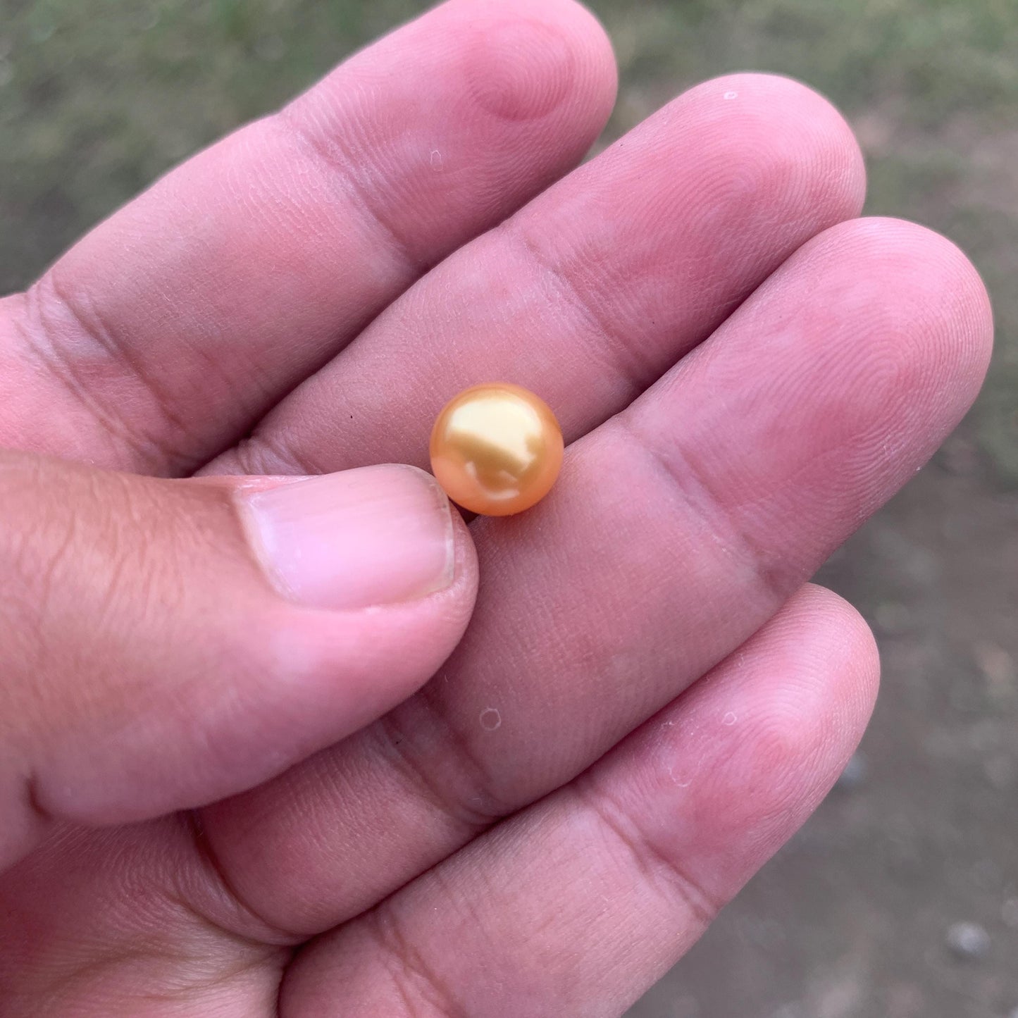 Loose High Grade Golden South Sea Pearl High Grade Loose Seawater Saltwater Pearl Small-1