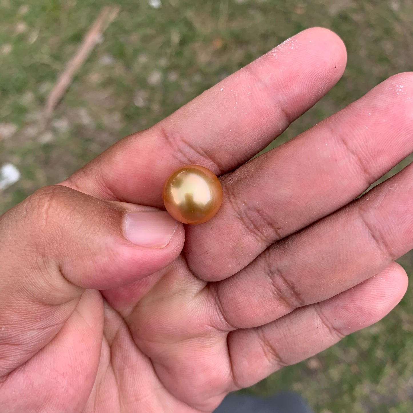 14mm Golden South Sea Button Pearl High Grade Loose Saltwater Pearl PP4-1