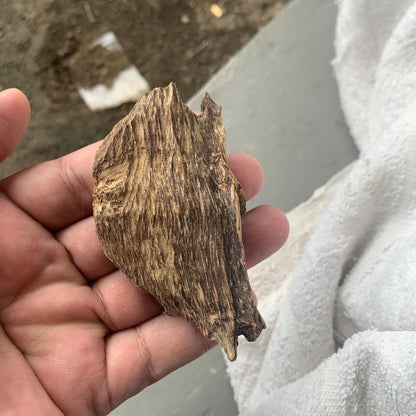 Agarwood Chips 沉香 Chénxiāng Oud Incense Oudh Xiāng Kyara Kynam Aloeswood Kinam 奇楠 qí nán 沈香 Jinkō Englewood 50 Grams العود Small Chips C3