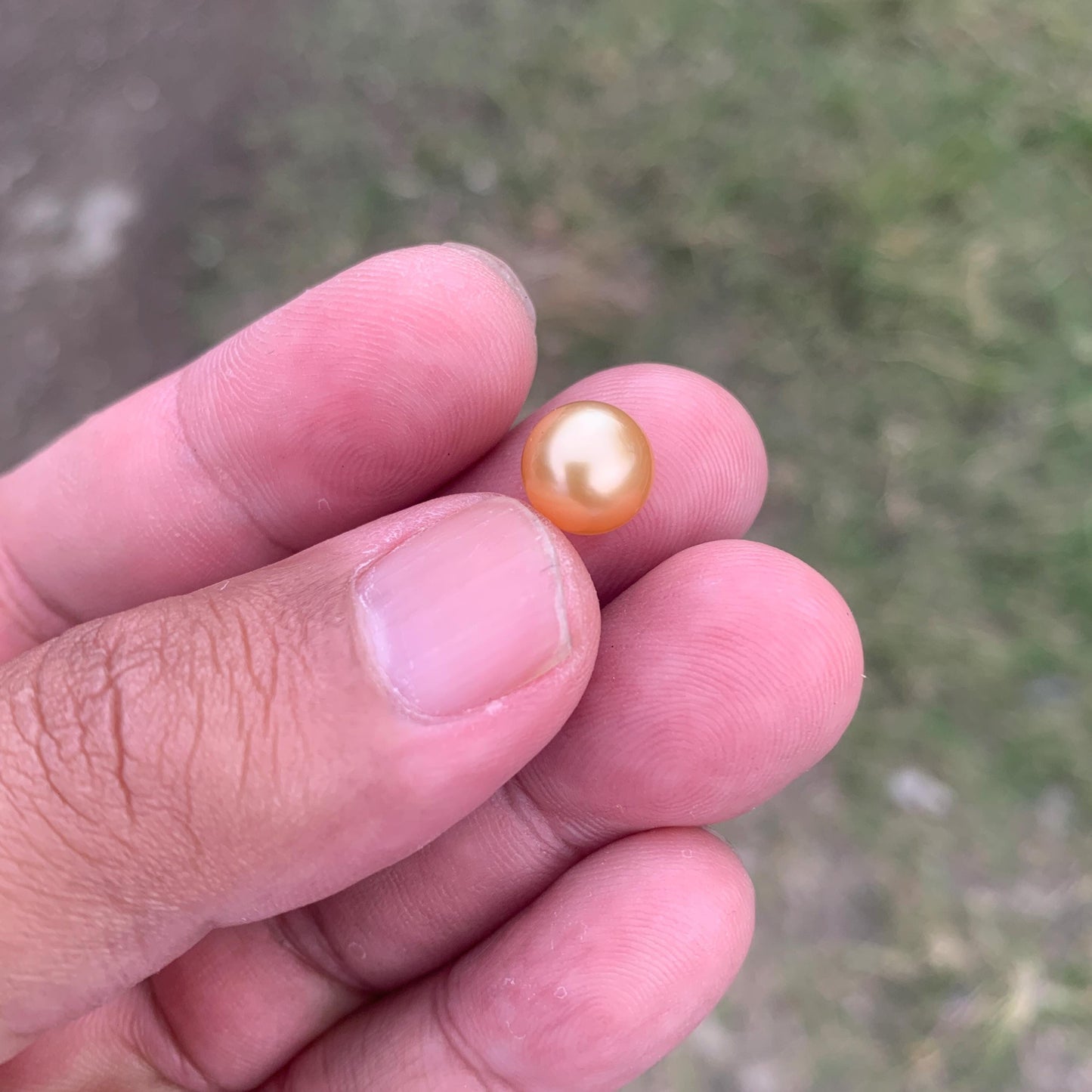 Loose Golden South Sea Pearl Beads Sea Pearl Beads High Grade Loose Saltwater Pearl Bead Small-2