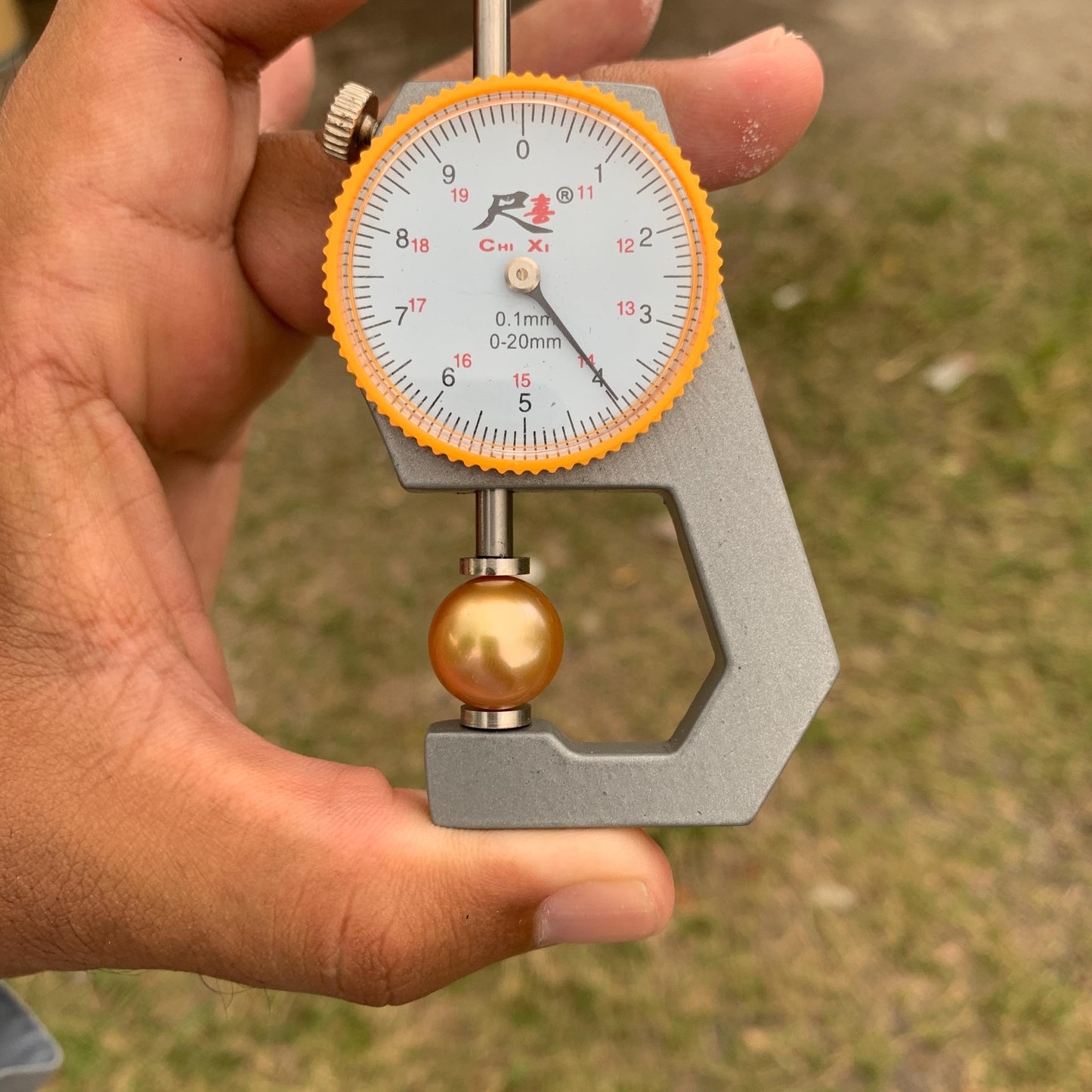 14mm Golden South Sea Button Pearl High Grade Loose Saltwater Pearl PP4-1