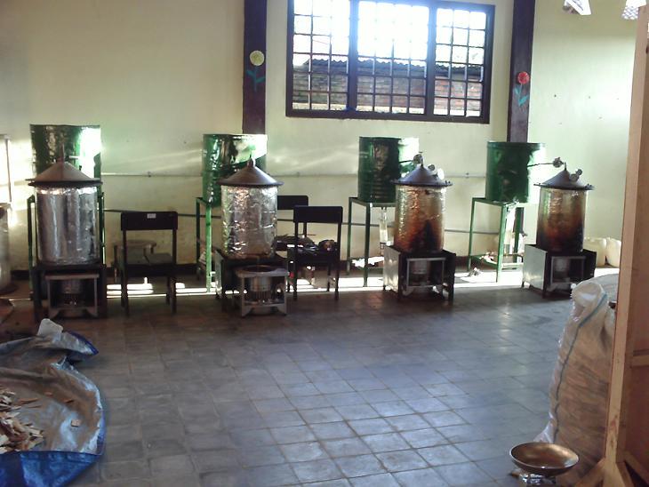 Malino Agarwood Oil: Kalimantan Oud Oil, Indonesia Gaharu