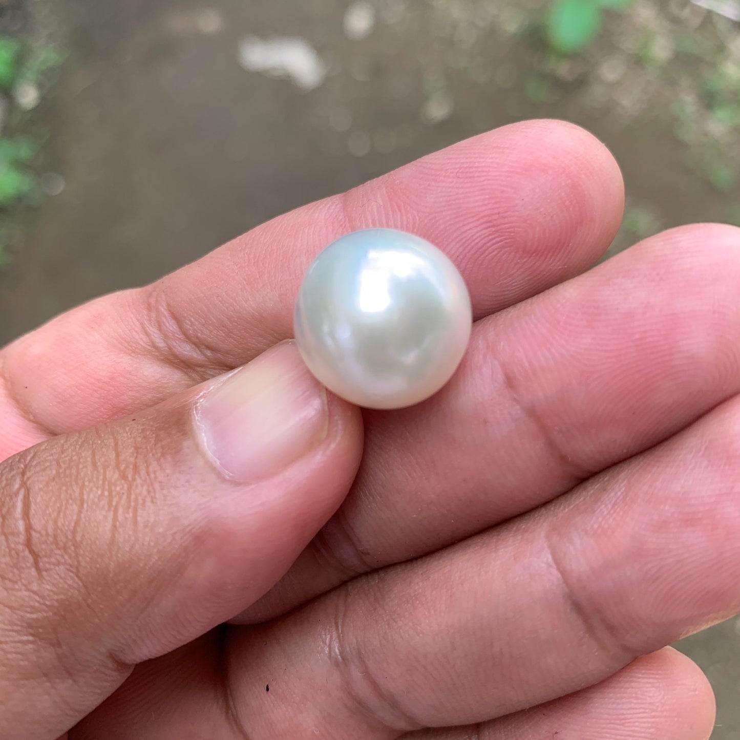White South Sea Pearl: Loose Indonesia Pearl (15.7x15.4mm) BoZorX FR-1