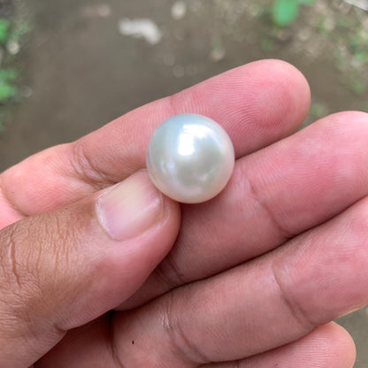 White South Sea Pearl: Loose Indonesia Pearl (15.7x15.4mm) BoZorX FR-1