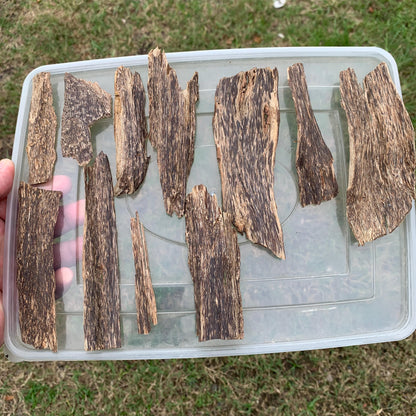 50 Grams Indonesia Agarwood Chips
