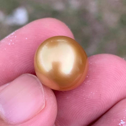 14mm Golden South Sea Button Pearl High Grade Loose Saltwater Pearl PP4-1