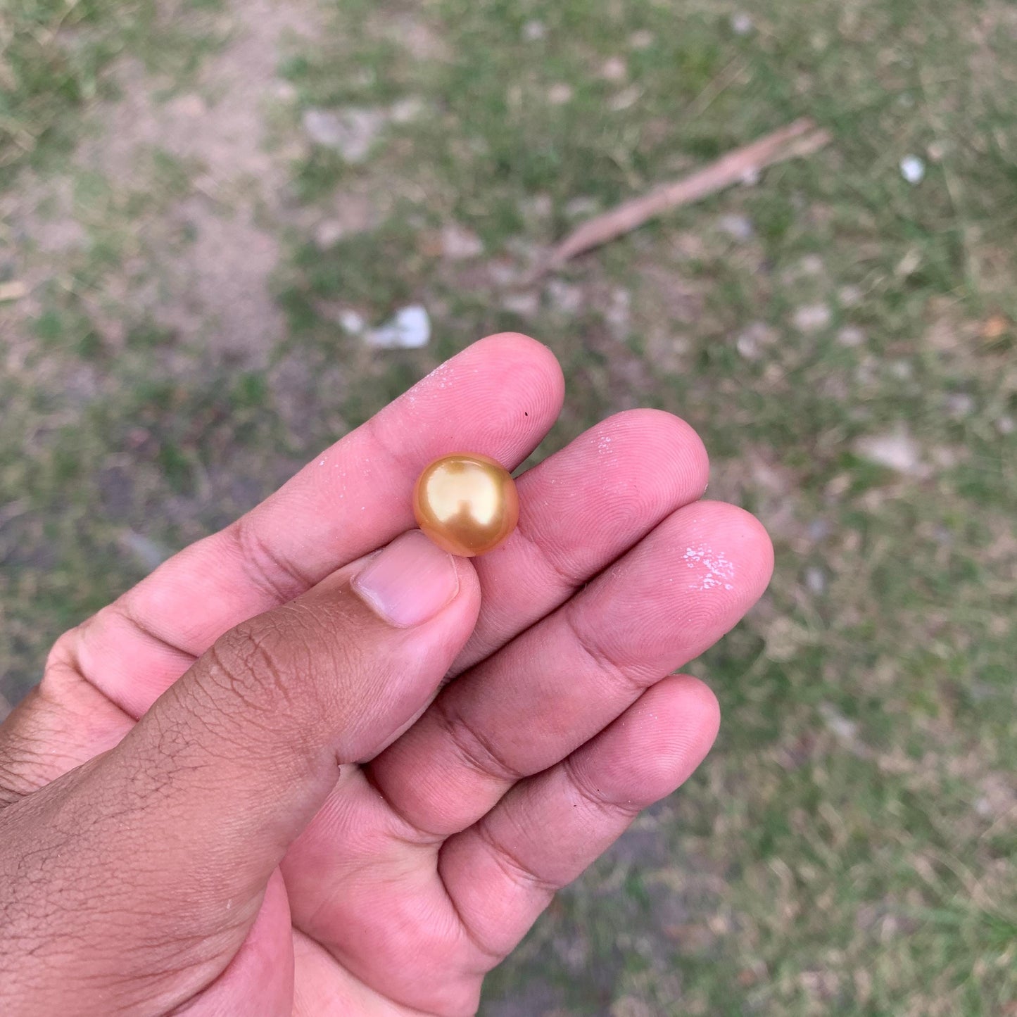 14mm Golden South Sea Button Pearl High Grade Loose Saltwater Pearl PP4-1