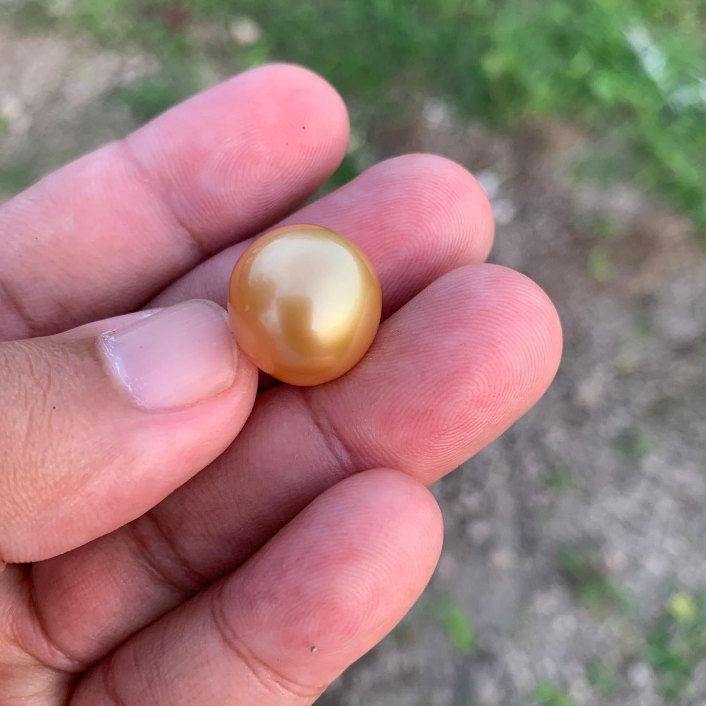 16.2x15.4mm Large Golden South Sea Pearl Undrilled Seawater Pearl PP-2