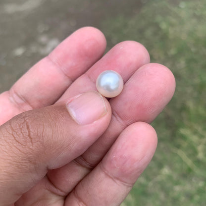 Loose White South Sea Pearl Beads Sea Pearl Beads High Grade Loose Saltwater Pearl Bead