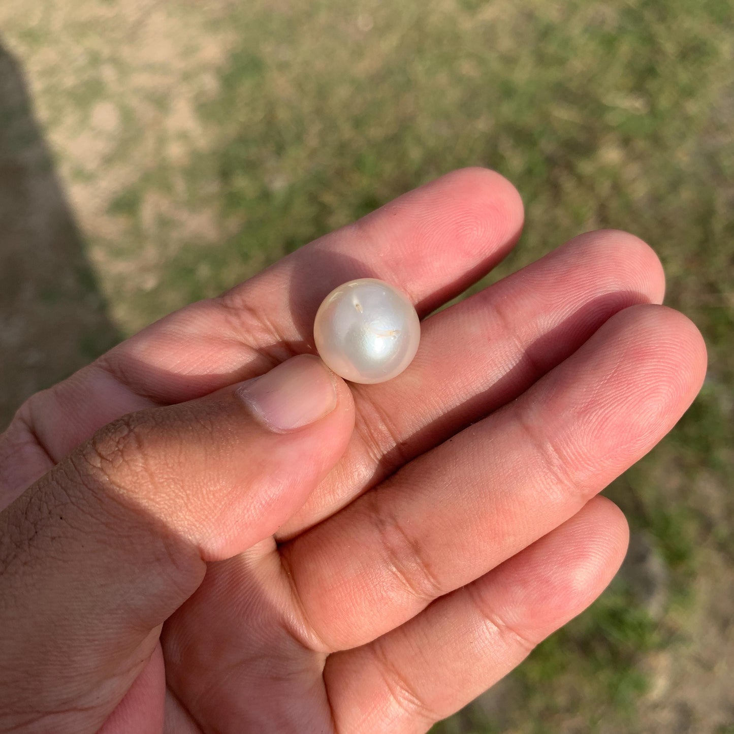 White South Sea Pearl Loose Indonesia Pearl (15.2x14.7mm) BoZorX FR-3