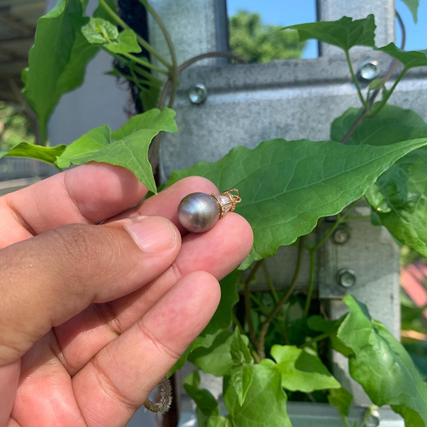 Real Tahitian Pearl Pendant 12mm Saltwater Pearl JN-3