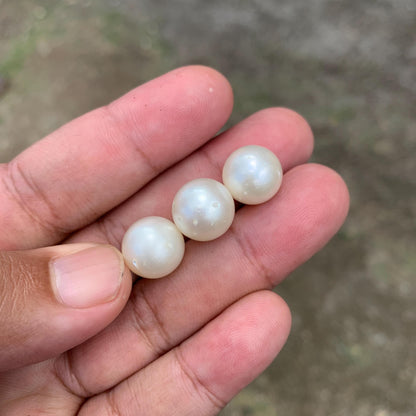 Indonesia Loose Seawater Pearl Special Edition Pearl Beads BoZorX Auct-B