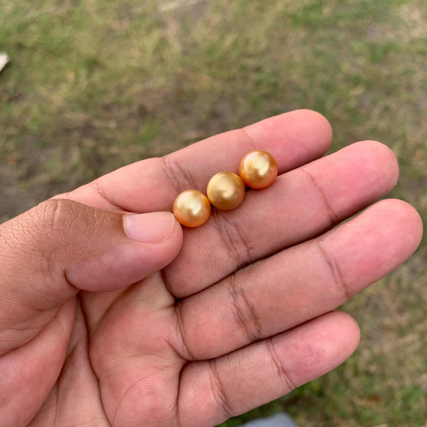 3 Pcs 10mm Golden South Sea Pearls High Grade Loose Gem  PP3-7