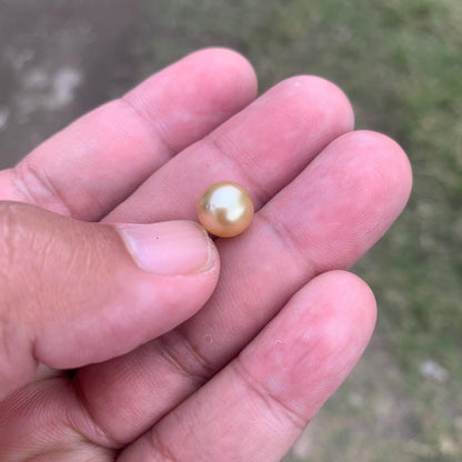 Loose Golden South Sea Pearl Beads Sea Pearl Beads High Grade Loose Saltwater Pearl Bead Small-3