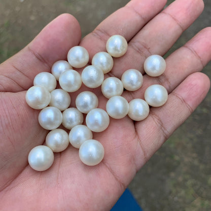 23 Pieces 11.69-11.9mm Indonesia Loose South Sea Pearl Seawater Pearl Beads Special edition Pearl BoZorX GR-22