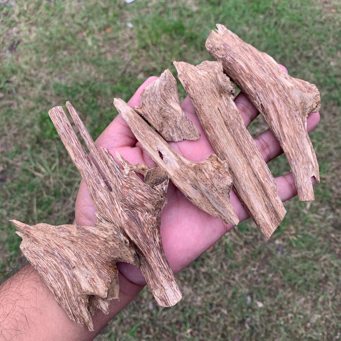 50克 沉香 奇楠 沈香 العود 50 Grams Agarwood Oud C9