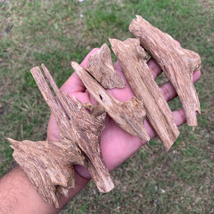 50克 沉香 奇楠 沈香 العود 50 Grams Agarwood Oud C9