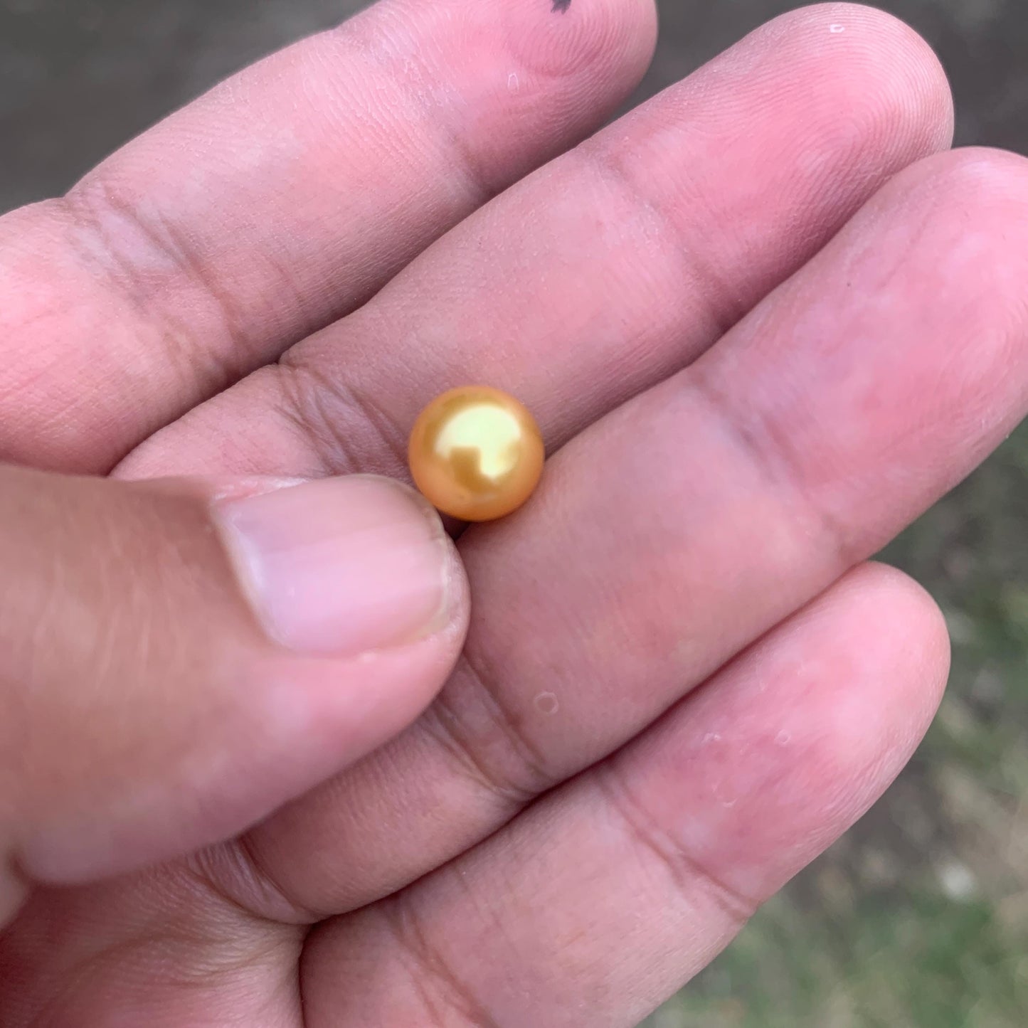Loose Golden South Sea Pearl Beads Sea Pearl Beads High Grade Loose Saltwater Pearl Bead Small-4