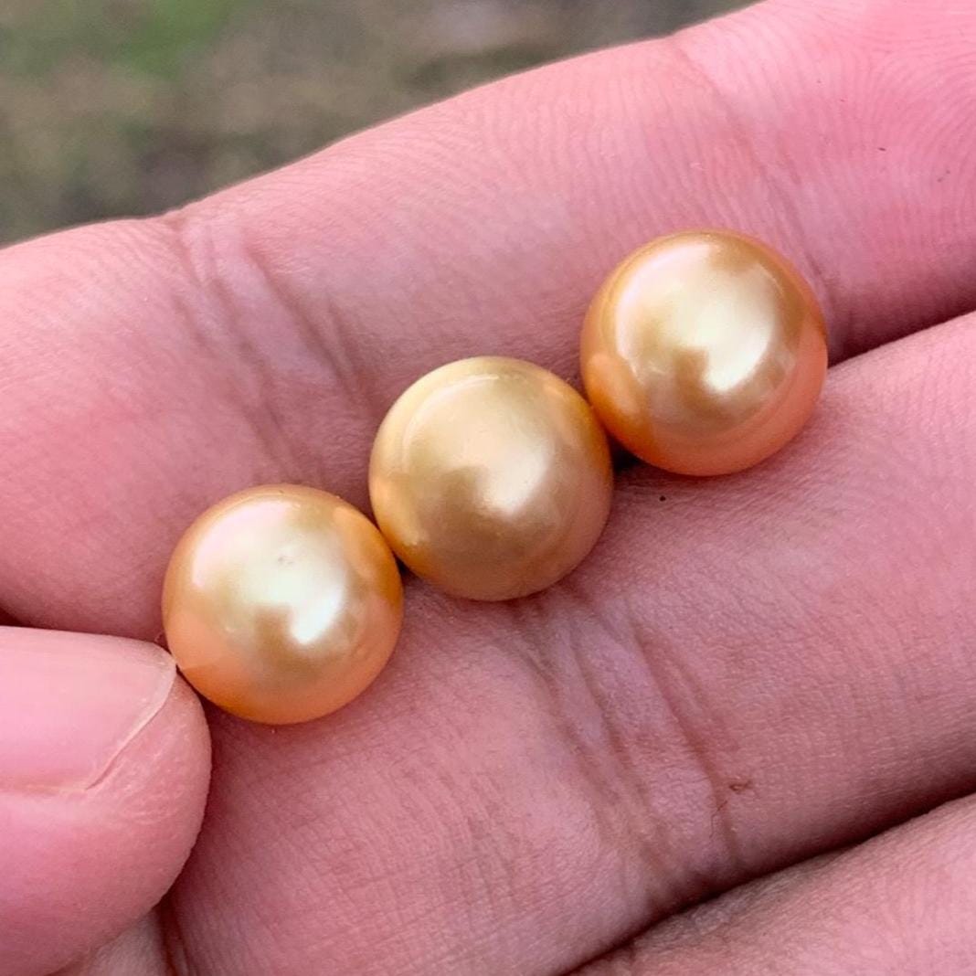 3 Pcs 10mm Golden South Sea Pearls High Grade Loose Gem  PP3-7