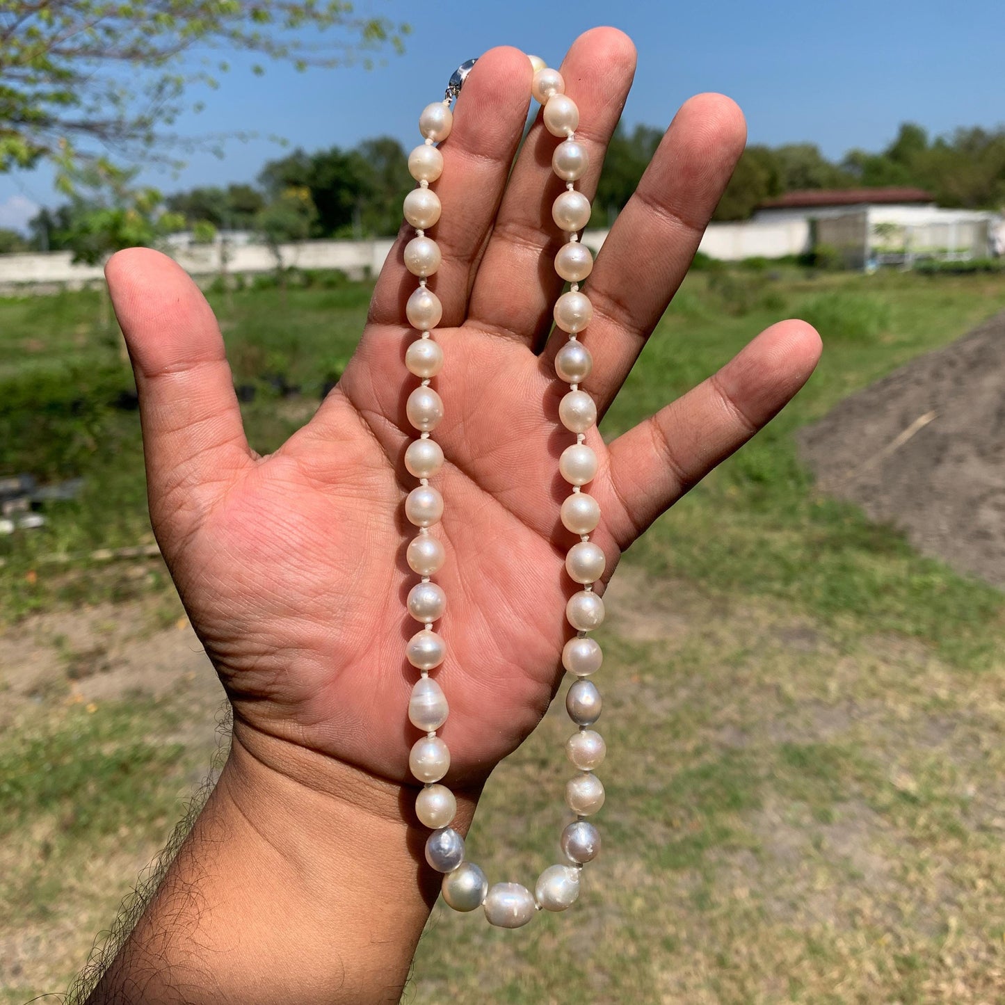 Genuine South Sea Pearl Necklace (7.5-10.8mm, 41cm)