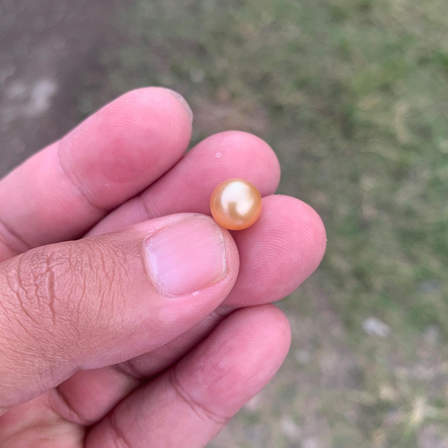 Loose Golden South Sea Pearl Beads Sea Pearl Beads High Grade Loose Saltwater Pearl Bead Small-2
