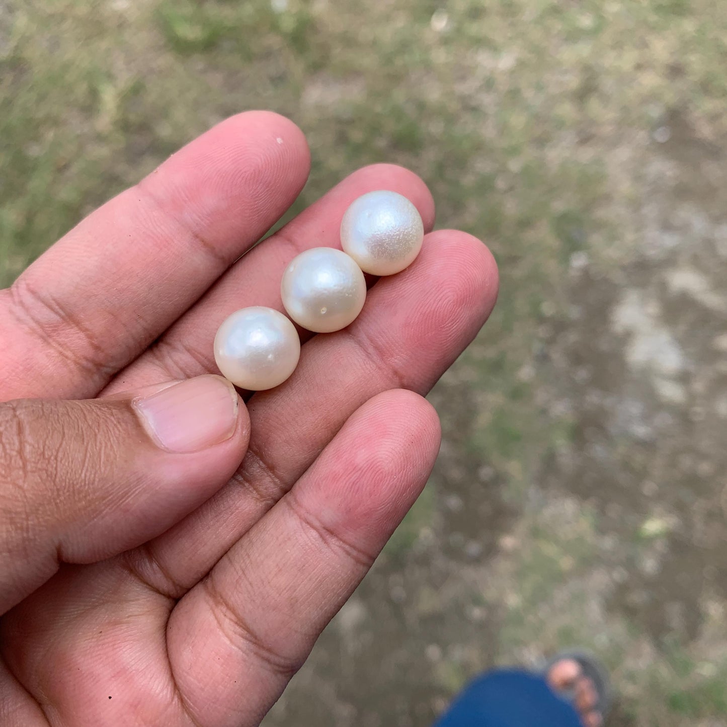 Indonesia Loose Seawater Pearl Special Edition Pearl Beads BoZorX Auct-F