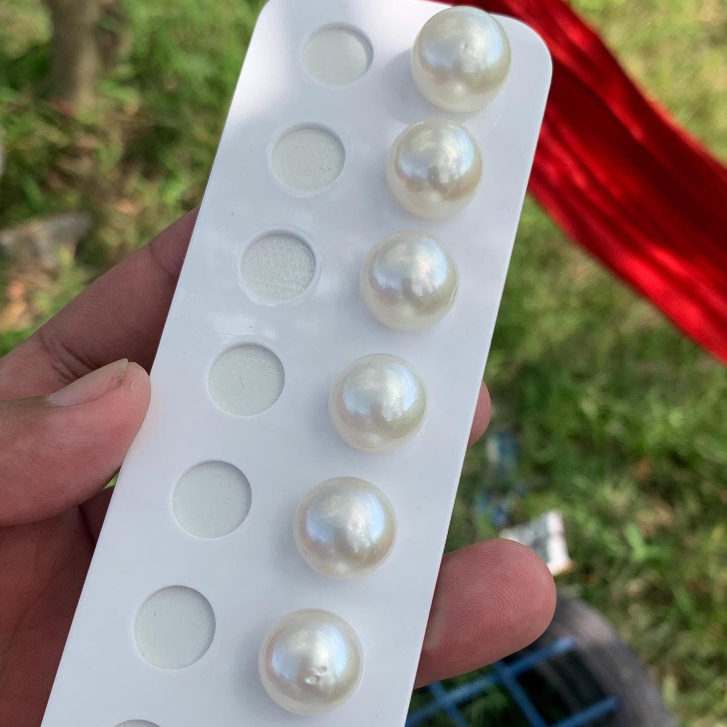 White South Sea Pearl Loose Button Shape, 14.5-16mm BT