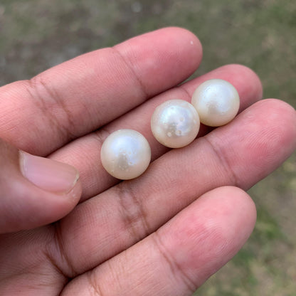 Indonesia Loose Seawater Pearl Special Edition Pearl Beads BoZorX Auct-L