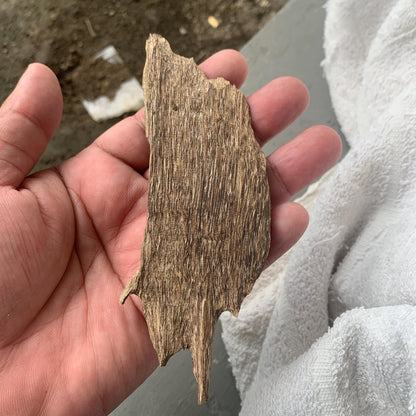 Agarwood Chips 沉香 Chénxiāng Oud Incense Oudh Xiāng Kyara Kynam Aloeswood Kinam 奇楠 qí nán 沈香 Jinkō Englewood 50 Grams العود Small Chips C3