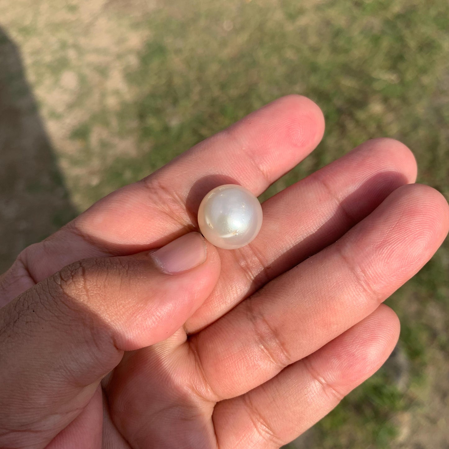 White South Sea Pearl Loose Indonesia Pearl (15.2x14.7mm) BoZorX FR-3