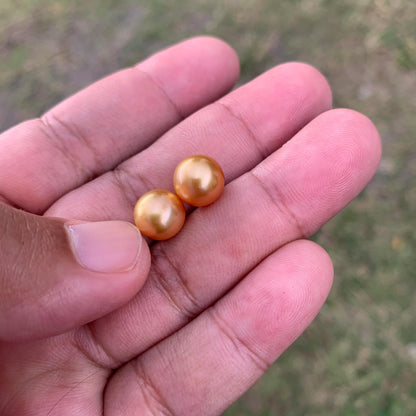 9.6mm Golden South Sea Pearl Pair High Grade Loose Gemstones PP3-8