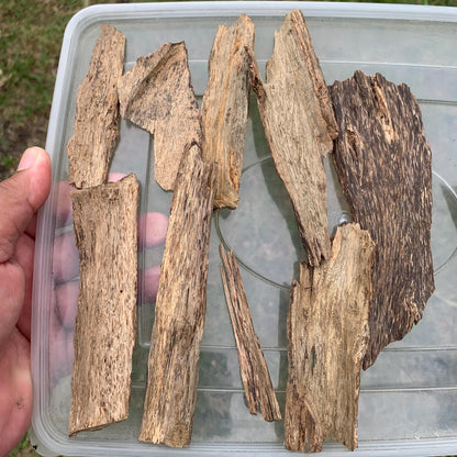 50 Grams Indonesia Agarwood Chips