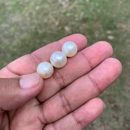 Indonesia Loose Seawater Pearl Special Edition Pearl Beads BoZorX Auct-B