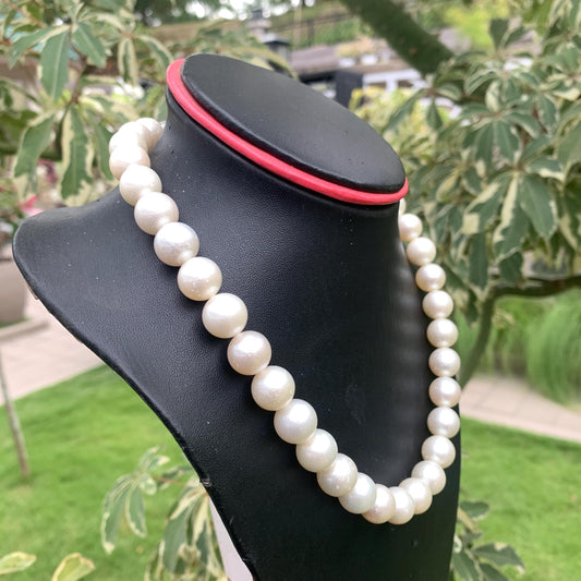 12-12.4mm White South Sea Pearl Indonesian Saltwater Seawater Pearl Necklace GR-9