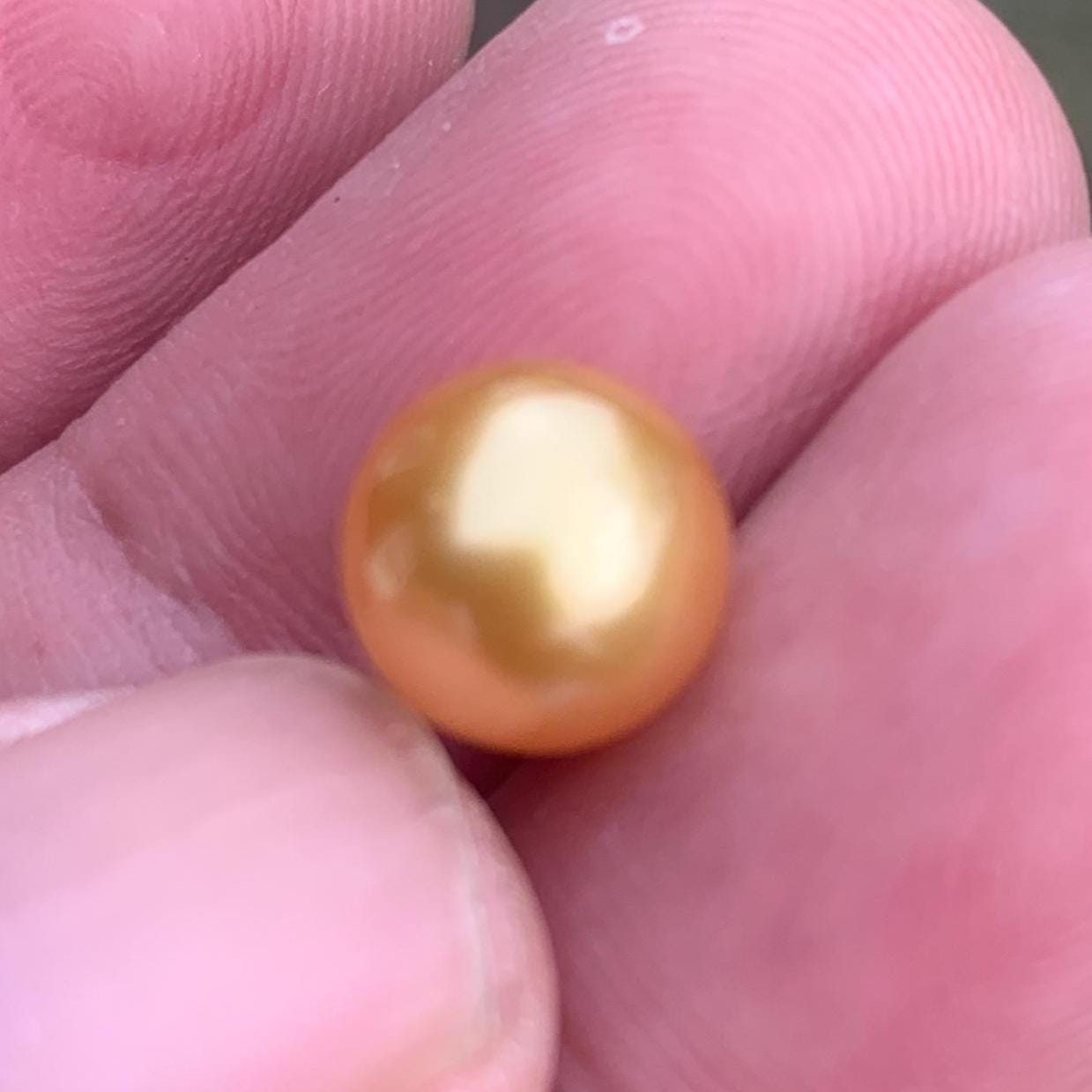 Loose High Grade Golden South Sea Pearl High Grade Loose Seawater Saltwater Pearl Small-1