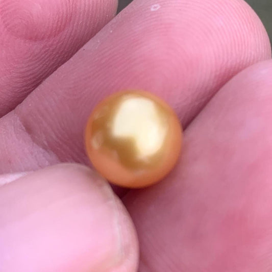 Loose High Grade Golden South Sea Pearl High Grade Loose Seawater Saltwater Pearl Small-1