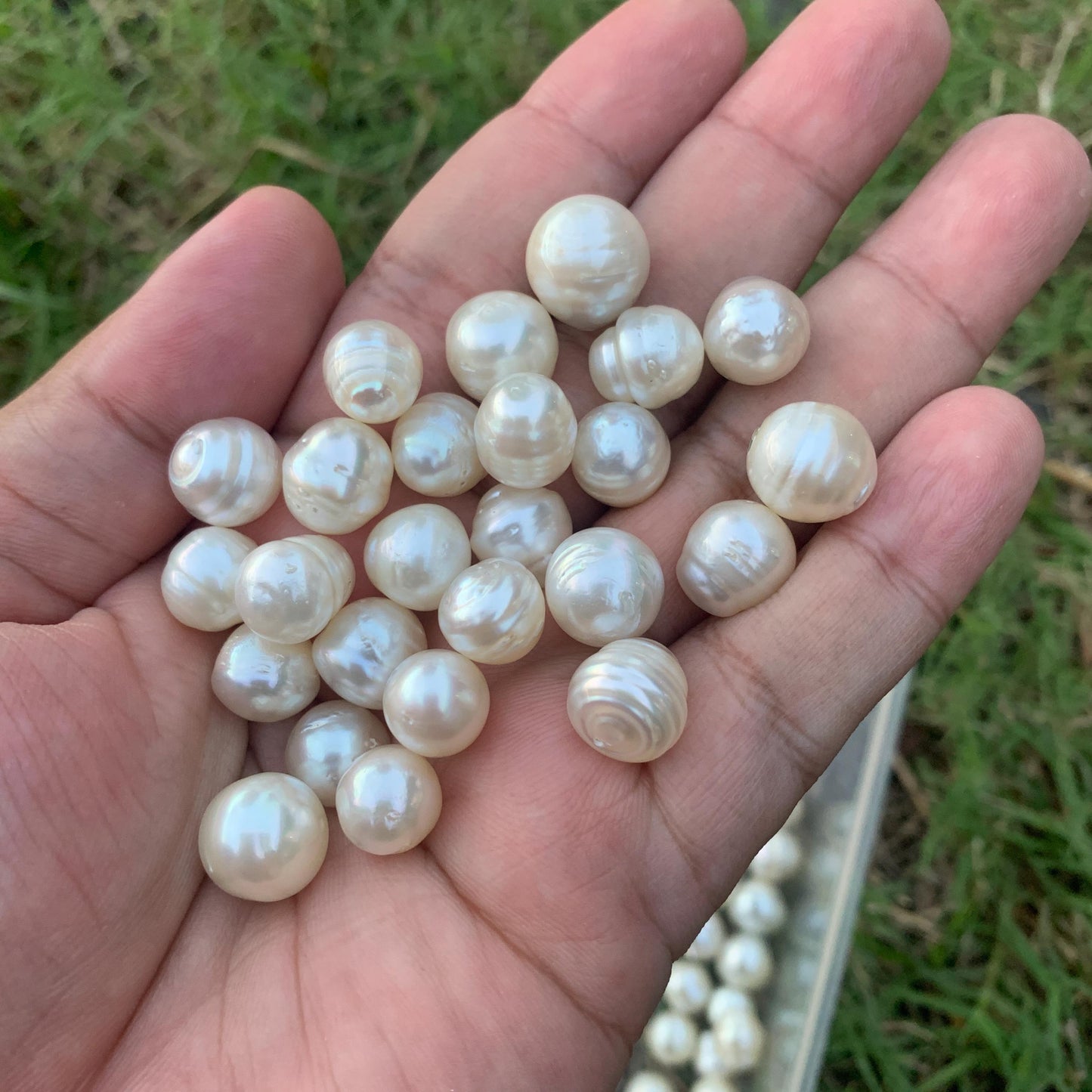 10-11mm White Circle Baroque Pearl Circle Pearl Loose Circle Baroque Sea Pearl Baroque Seawater Pearl Beads Baroque Circle White Pearl