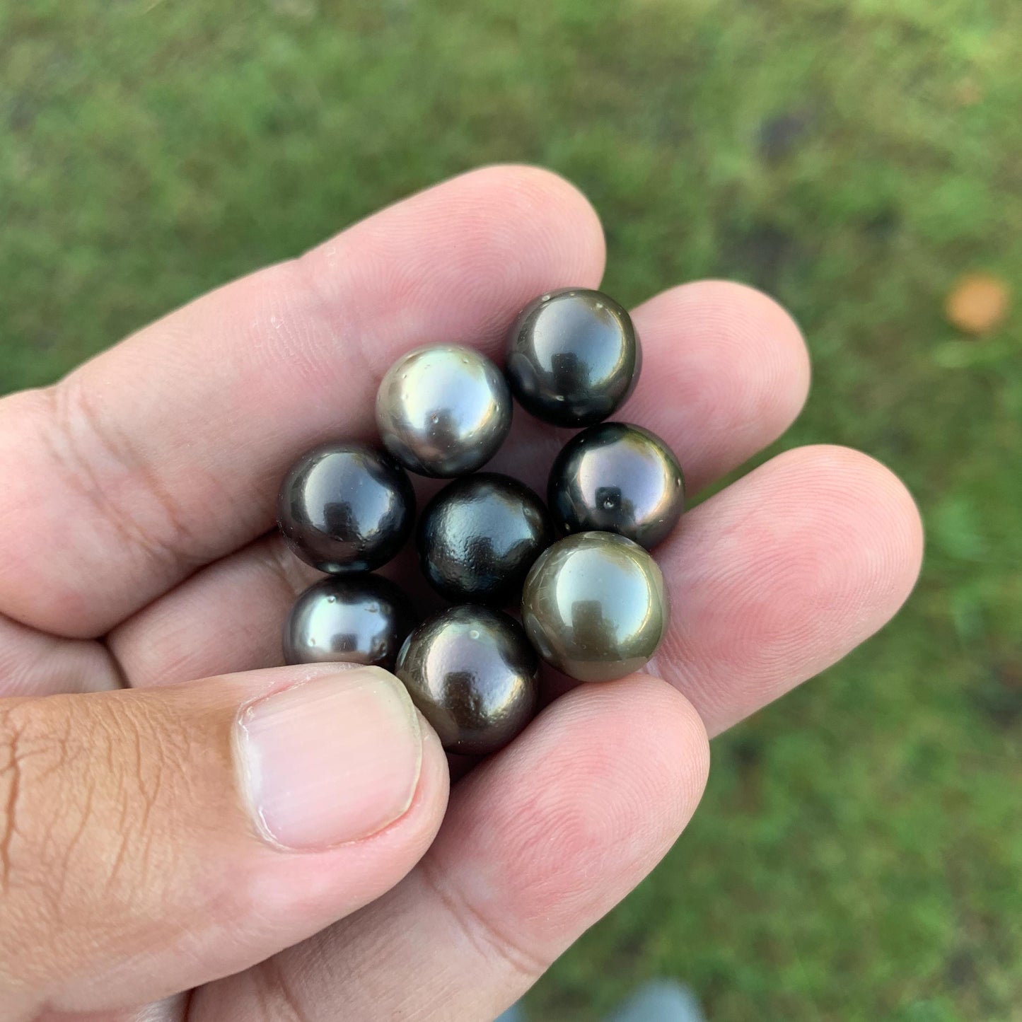 8 Pcs 11mm Loose Seawater Black Pearl Tahitian Edition Pearl Beads BoZorX BT-3