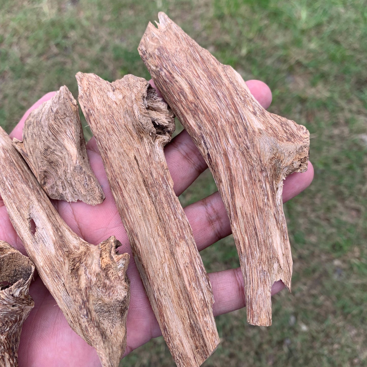 50克 沉香 奇楠 沈香 العود 50 Grams Agarwood Oud C9