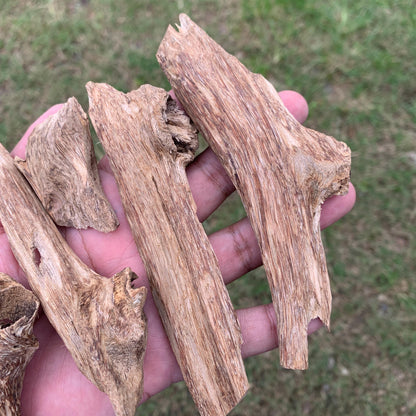 50克 沉香 奇楠 沈香 العود 50 Grams Agarwood Oud C9