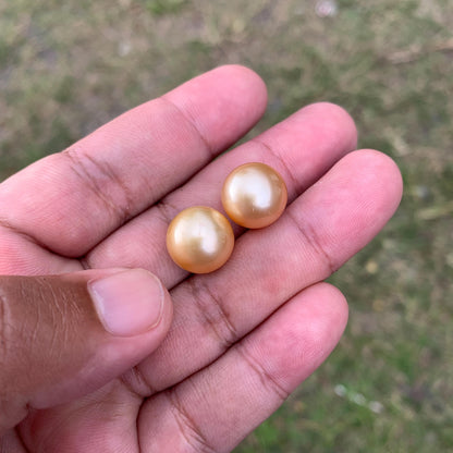 2 Pcs 13mm Golden South Sea Pearl Pair High Grade Loose Gemstones PP3-3