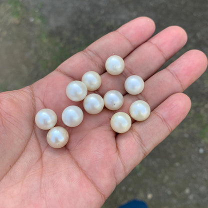 11 Pieces 11.5-11.69mm Indonesia Loose South Sea Pearl Seawater Pearl Beads Special edition Pearl BoZorX GR-26