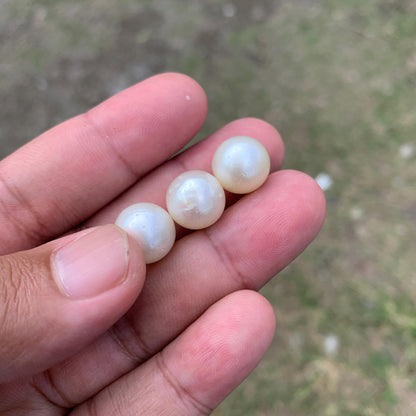 Indonesia Loose Seawater Pearl Special Edition Pearl Beads BoZorX Auct-L