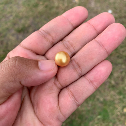 12mm Golden South Sea Pearl High Grade Loose Gold Seawater Pearl PP3-5